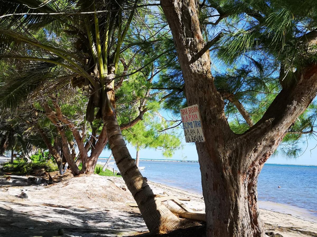 Xcalak Caribe Lodge Buitenkant foto